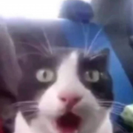 Rat_Gaming