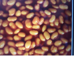 Company: beans