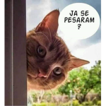 Os primo 1234