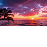 TS_TeamSunset