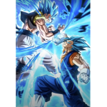 anima fighters
