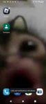 Kaidyn16362