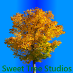 Sweet Tree Studios