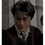 |*Harry Potter Fans*|