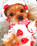Ella closet !!.