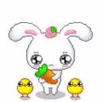 dotchi