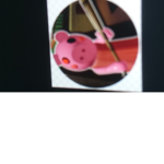 Piggy gang op