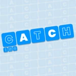 Catch Inc. Group Thumbnail