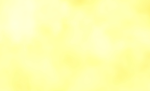 Twinkle lights4490