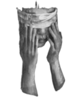 .barukh