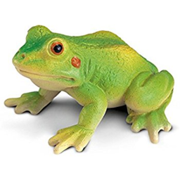 Frog Hangout