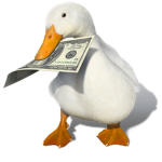 Ducky Power