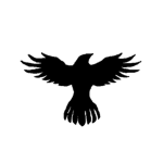 xRavenStudios