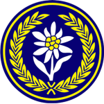 21st Podhalańskich Rifles Brigade