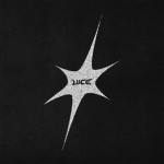 VICEco