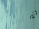 daydreaming y2k clothing