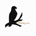 Merlin Design™