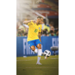 Touch Football pro