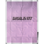DIOR.ENTT