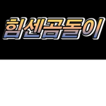 힘센곰돌이