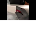 Shark Puppet Fans ONLY