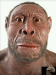 The cavemen clan