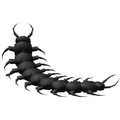 ꒰𖹭꒱ Kawaii Creepy Cute Pet Centipede Black