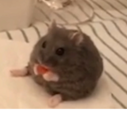 A OBBY U CAN PLAY