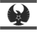 Viper Recon Corps
