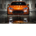 rocket bunny