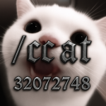 /ccat