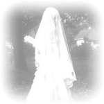 misveils
