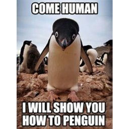 war