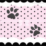kitten pawhs Group Thumbnail