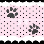kitten pawhs Group Thumbnail