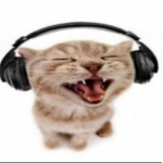 VIBE CAAAAAAAAAAAAAAAAAAAAAAAAAAAAAAAAAT