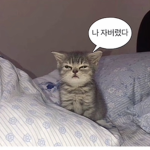 로블인들