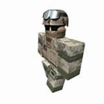 United States Sector Force