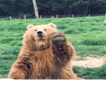 Big Bears world
