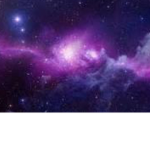 THE PURPLE MERCH