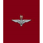 Parachute Regiment (PARA)