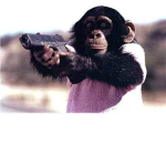 The Purple Monkey Army