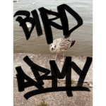 Bird Army Since 2023
