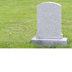 R.I.P idk_gamer