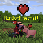 ronBoxminecraft