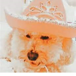 Mia's Closet