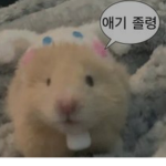 빠냐낭