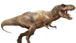 The Doodley Dinos