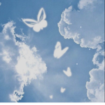 Aesthetic Sunshines :D