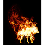 The Fire Wolfs Of War